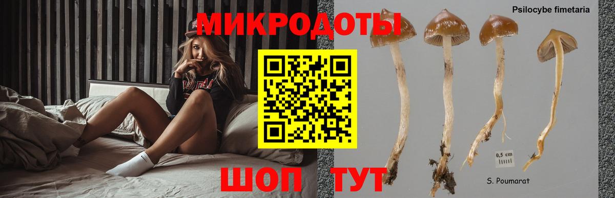 Усть-Илимск  Галлюциногенные грибы Magic Shrooms  Галлюциногенные грибы GOLDEN TEACHER  Вход с VPN 